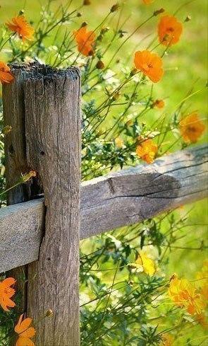 Говорят, что сплетники, обсуждая человека, забирают его грехи. Спасибо вам! Теперь мне можно жить ... - 6