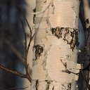 ��� � �����! ���� ��������� ������! �� ������� ���� ����������