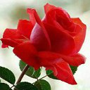 ���� �������, ������� - ��������� 16 ������� 2016 � ������ ���� ����������