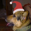 ���� � �������� ����������.. �� ������� ���� ����������