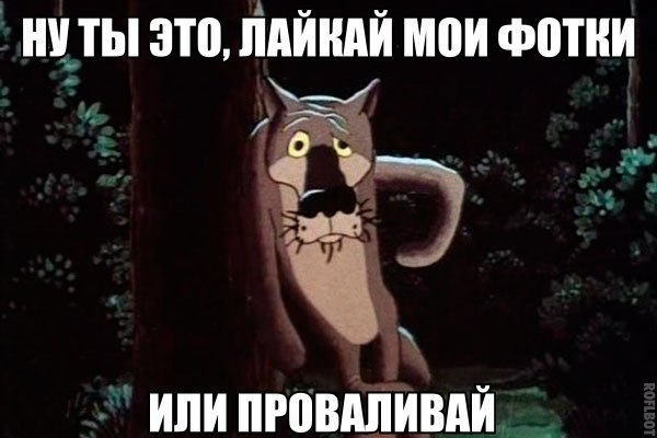    :D - 5  2017  08:34