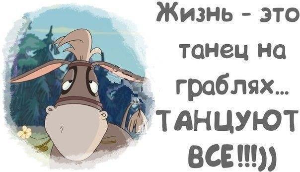 Art & Fun - 18  2016  22:11