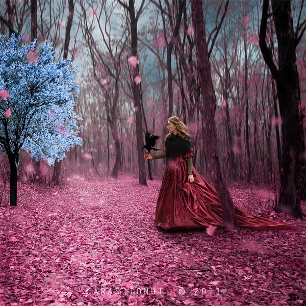    Caras Ionut,Romania - 3