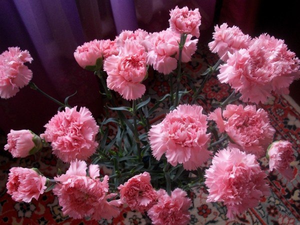 ОБО ВСЕМ - 3 октября 2016 в 15:58