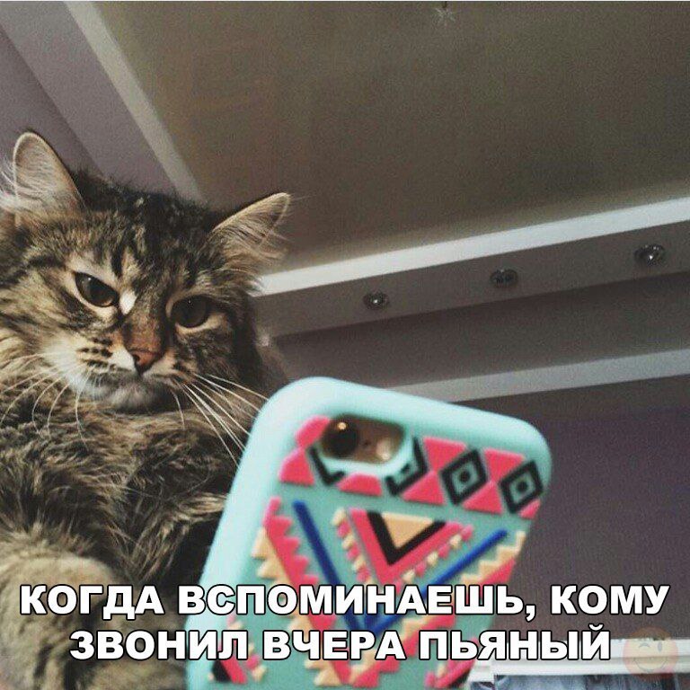    :D - 15  2017  04:02