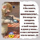 ���� � I, ���������, 48 ��� - ��������� 1 ����� 2017 � ������ ���� ����������