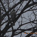 ��� ����� ��������� ������� � ���... �� ������� ���������.�