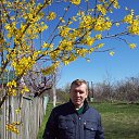 ���� Aleksandr, ��������� - ��������� 2 ������ 2017 � ������ ����� 29 - 31. 2017 �.�