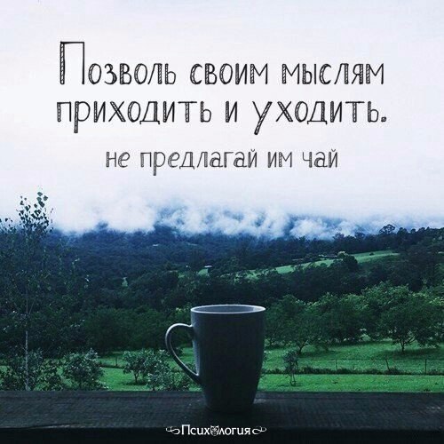  - 16  2017  06:37
