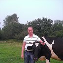 ���� ������, ������������, 52 ���� - ��������� 10 ������ 2017 � ������ ���� ����������