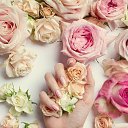 ���� ��������, ������ - ��������� 25 �������� 2016 � ������ ������ ��������