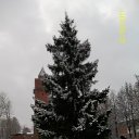 ���� ���������, ��������, 38 ��� - ��������� 21 ����� 2017 � ������ ���� ����������