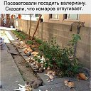 ���� ������, �����, 67 ��� - ��������� 20 ����� 2017 � ������ ������ ��������