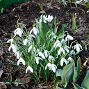 ���� ������, ������������ - ��������� 3 ������� 2016 � ������ ���� ����������