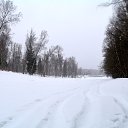  ,  -  28  2017    
