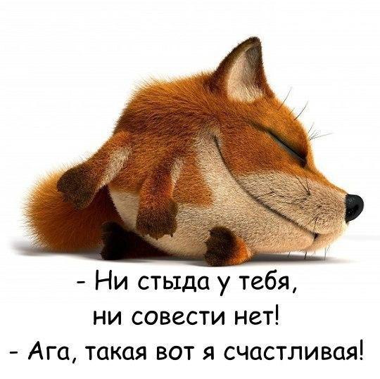   - 24  2017  21:02