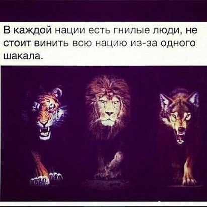 .https://fotostrana.ru/away?to=/sl/kxC2 - 10  2016  19:46