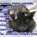 ���� ��������, ������� - ��������� 9 ������� 2016 � ������ ������ ��������