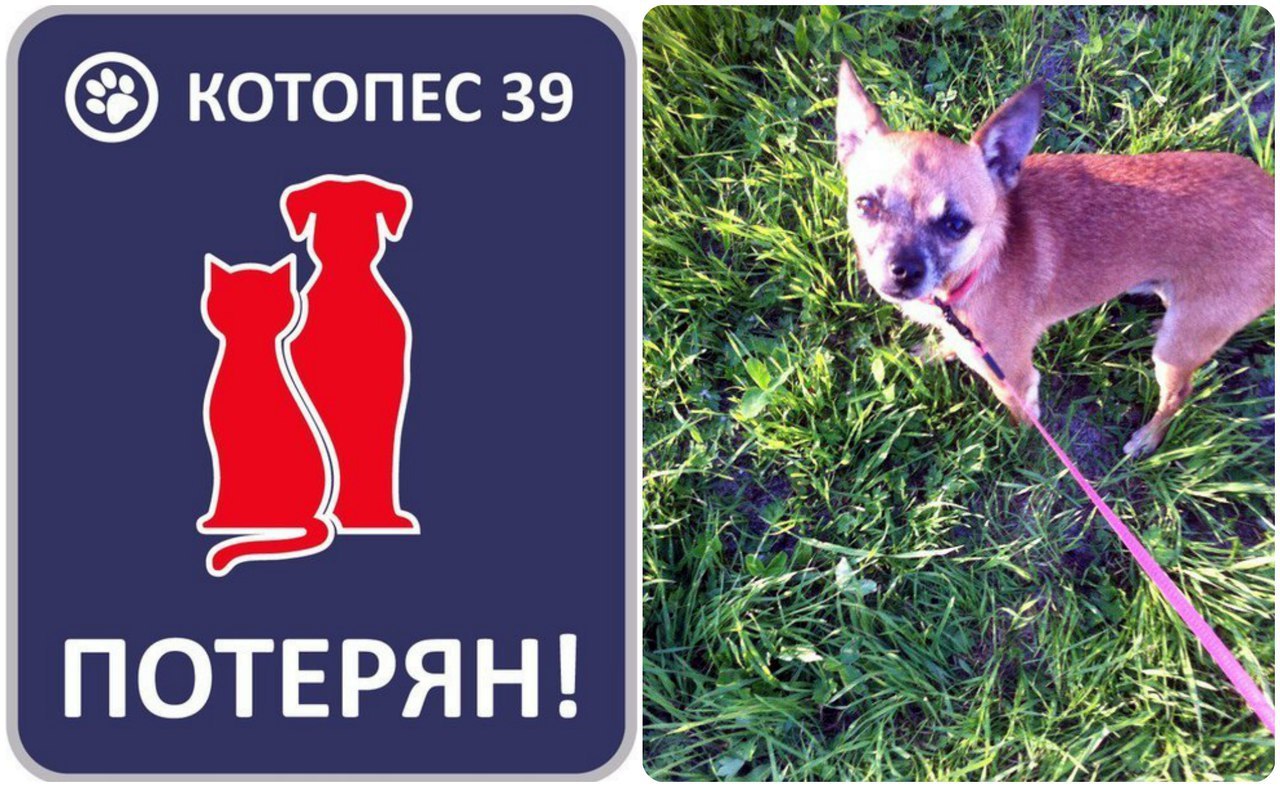 ..18.07.2016   -!     !    ...