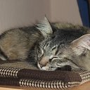 ���� �������, ����������� - ��������� 7 ������ 2016 � ������ ���� ����������