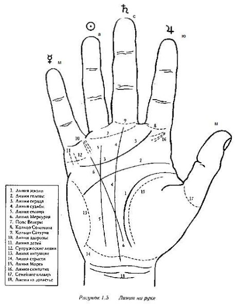 Линия жизни юпитер. Хиромантия линии на Холме Меркурия. Линия Сатурна и Меркурия на ладони. Линия трезубец на Холме Юпитера. Трезубец на холм Меркурия на ладони.