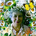 ���� �������, ���������, 72 ���� - ��������� 7 ������ 2016