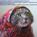 ���� ���������, ������� - ��������� 27 ������ 2017 � ������ ������ ��������