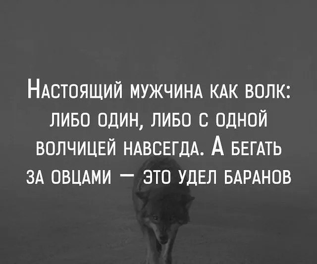 ,   ,    - 4  2016  08:02
