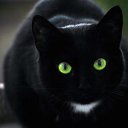 ���� �����, �����-��������� - ��������� 17 ������ 2016 � ������ ���� ����������
