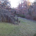 ���� ��������, ����������� - ��������� 1 ������� 2016 � ������ ���� ����������