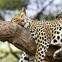 ���� �������, ���������� �����, 48 ��� - ��������� 9 ������ 2017 � ������ ������ ��������