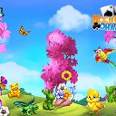  **,  -  17  2017    -