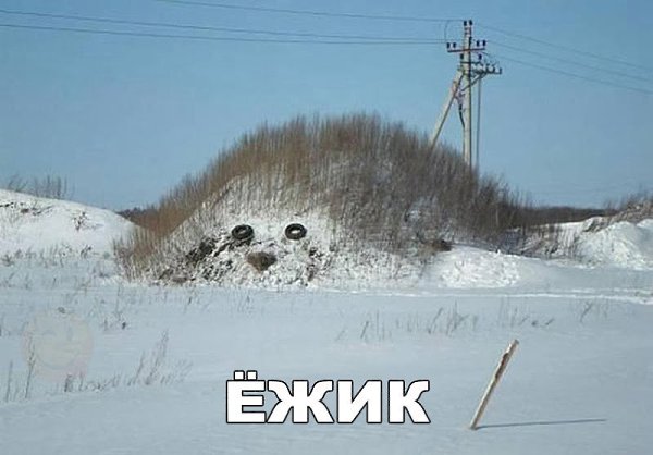    :D - 25  2017  13:39