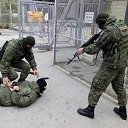 ����� ��������)