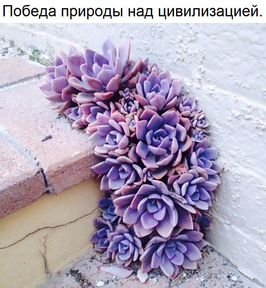    ! - 15  2017  09:10