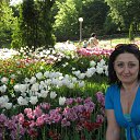 ���� ��������, ���� - ��������� 7 ������ 2017 � ������ ���� ����������