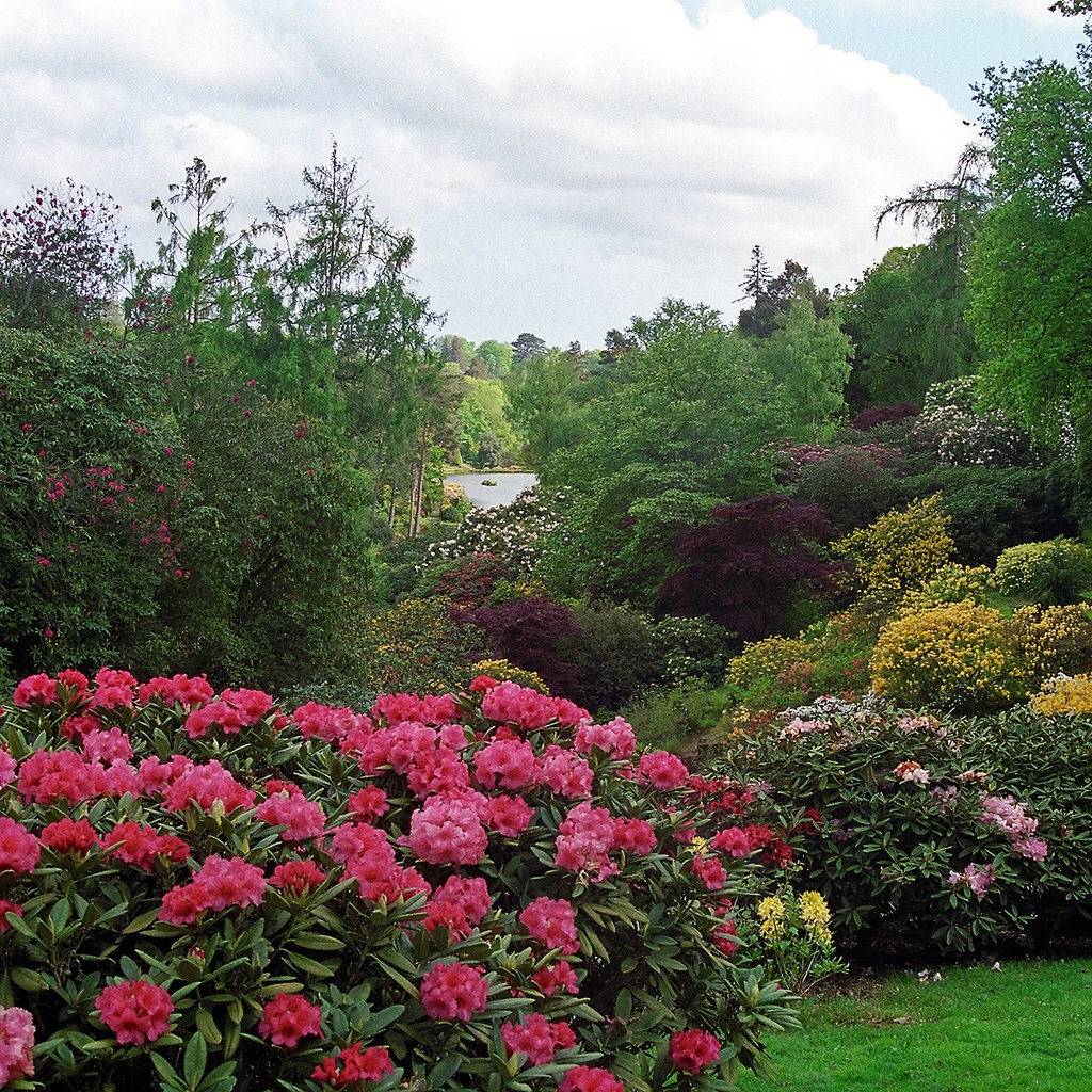 ))). Leonardslee Gardens (  ) , Horsham, West Sussex    ... - 7