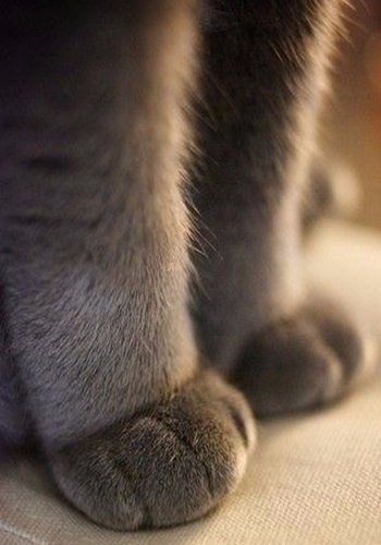 ���� �������� - 4