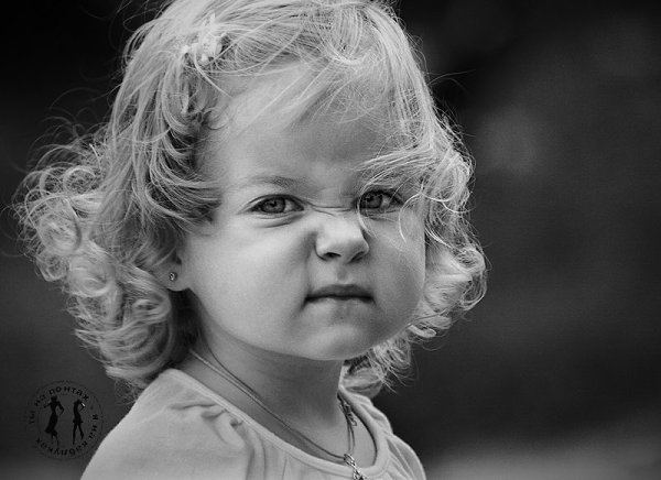 ,  ,    - .. ,   ,  -   ...