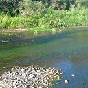 ���� �������, ����� - ��������� 5 ����� 2017 � ������ �������