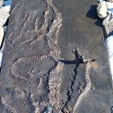 ���� �������, �������, 53 ���� - ��������� 13 ����� 2017 � ������ ���� ����������