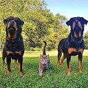 ���� �������?! �� ������� ���� ����������