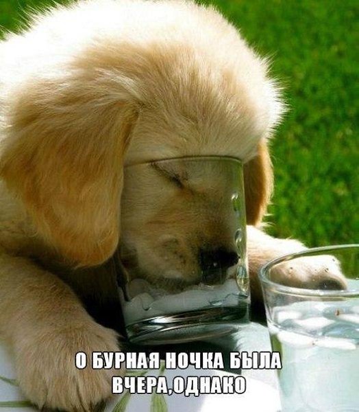  - 15  2017  09:22