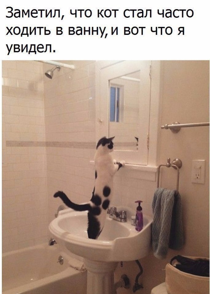   - 1  2017  18:55