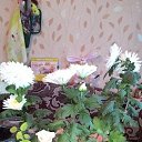  , -, 54  -  10  2016    ۻ