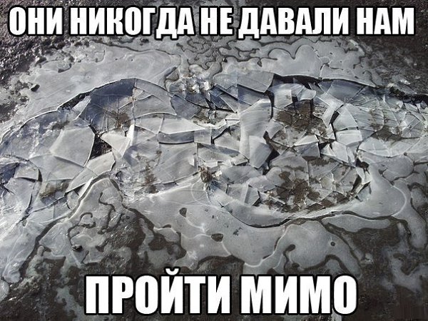   - 13  2017  18:36