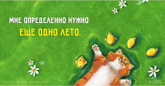  - 11  2016  20:58