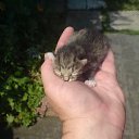 ���� �����, ������, 45 ��� - ��������� 26 ������ 2017 � ������ ������ ��������