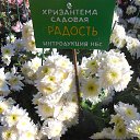 ���� ������� �, ����� - ��������� 19 ������ 2016 � ������ ������ ��������