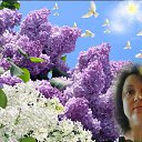 ���� �������, ����������, 48 ��� - ��������� 1 ����� 2017 � ������ ���� ����������